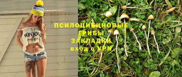 эйфоретик Богданович