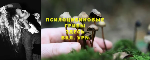 мескалин Богородск