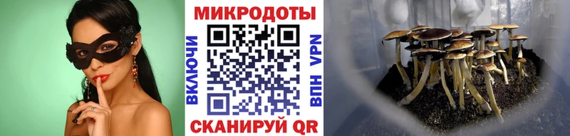 Галлюциногенные грибы GOLDEN TEACHER Сланцы